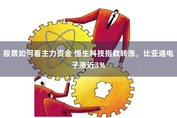 股票如何看主力資金 恒生科技指數(shù)轉(zhuǎn)漲，比亞迪電子漲近3%